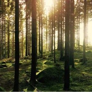 Meet your Posher, Korey